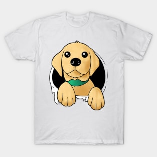 Labrador puppy T-Shirt